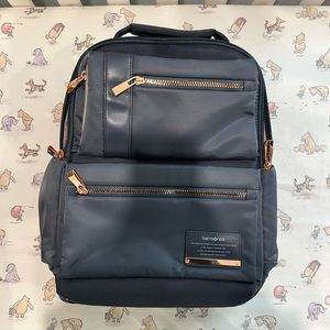 Samsonite travel backpack. Blue with rose gold zippers.